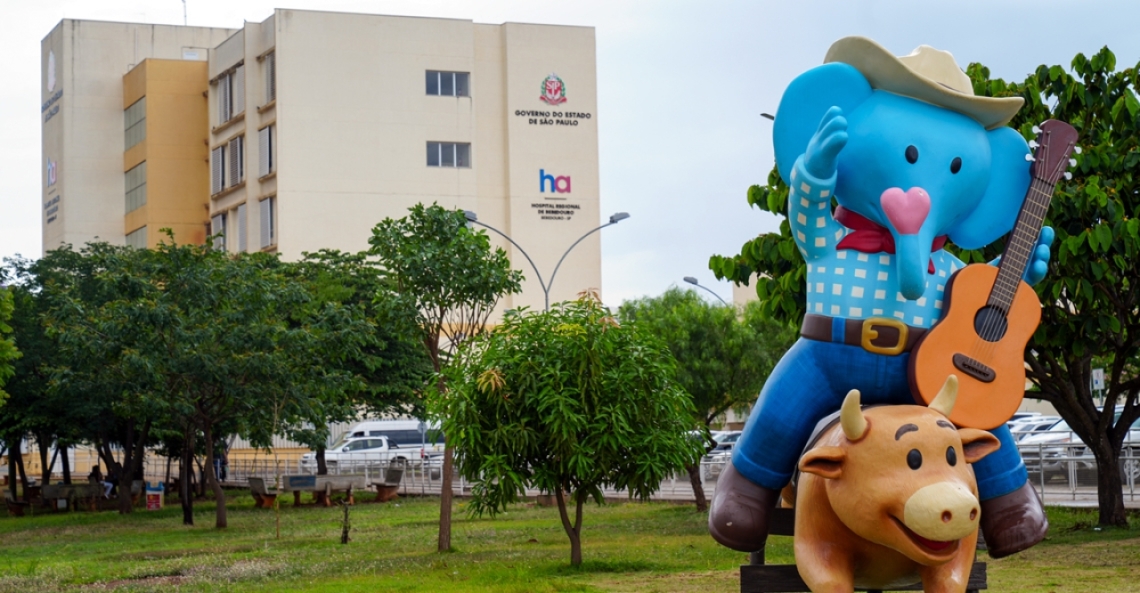 Expo Mamu está no Hospital Regional até sexta-feira (28/11)