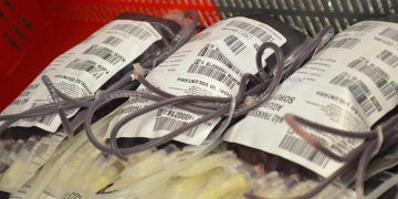 Hemocentro coleta 18 bolsas de sangue