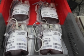 Hemocentro de Bebedouro coleta 30 bolsas de sangue