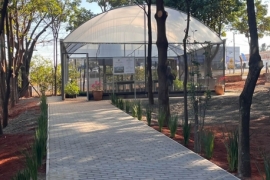 Viveiro Municipal é inaugurado em Bebedouro